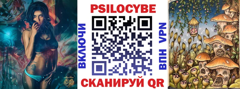 это наркотические препараты  блэк спрут ТОР  Богучар  Галлюциногенные грибы Psilocybine cubensis 